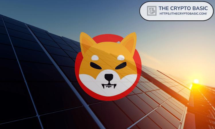 5亿只柴犬的当前价格和2035年的潜在价值